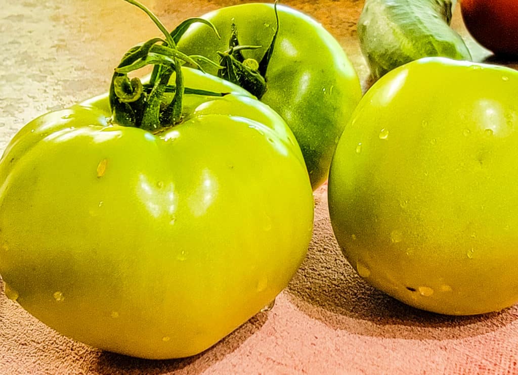 Creamy Sauce for Fried Green Tomatoes The Hobby Wife