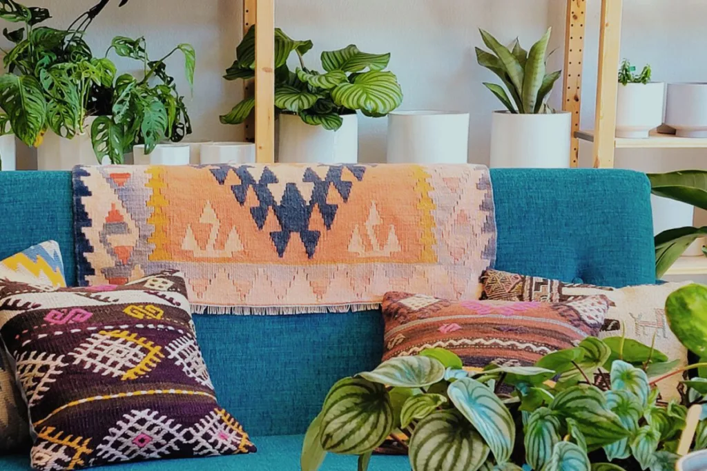 best indoor plants for dark rooms