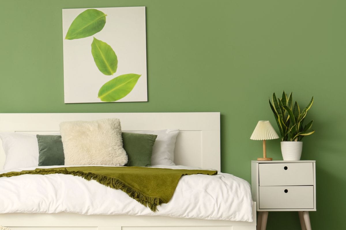 best plants for dark bedrooms